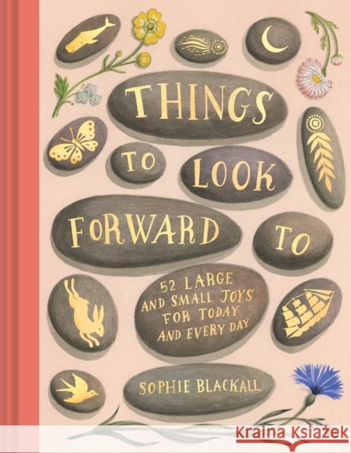 Things to Look Forward To  9781797214481 Chronicle Books - książka