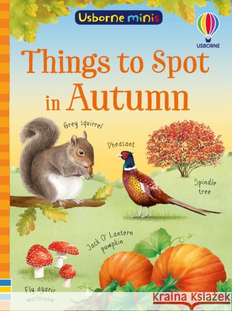 Things to Spot in Autumn Simon Tudhope 9781835403556 Usborne Publishing Ltd - książka