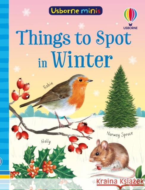 Things to Spot in Winter Simon Tudhope 9781835401224 Usborne Publishing Ltd - książka