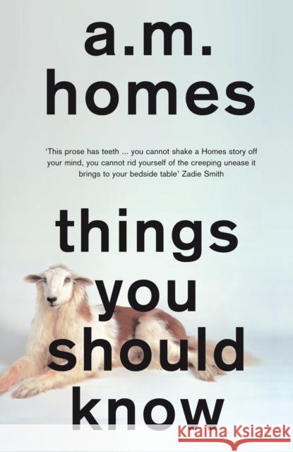 Things You Should Know A M Homes 9781847087294  - książka