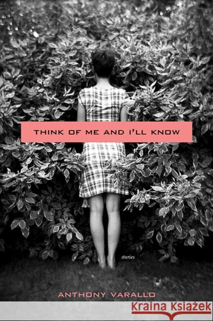 Think of Me and I'll Know: Stories Anthony Varallo 9780810152403 Triquarterly Books - książka