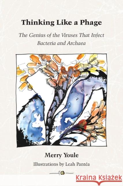 Thinking Like a Phage: The Genius of the Viruses That Infect Bacteria and Archaea Merry Youle Leah Pantea 9780990494317 Wholon - książka