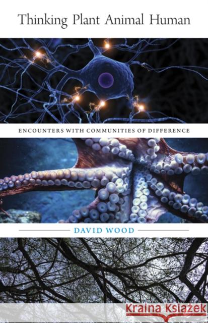 Thinking Plant Animal Human: Encounters with Communities of Difference Volume 56 Wood, David 9781517907211 University of Minnesota Press - książka