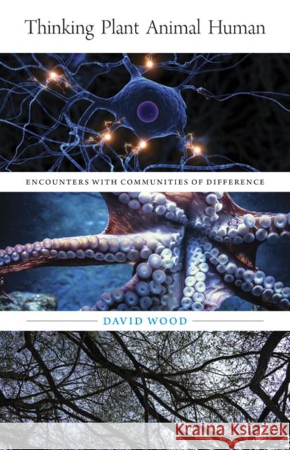 Thinking Plant Animal Human: Encounters with Communities of Difference Volume 56 Wood, David 9781517907228 University of Minnesota Press - książka