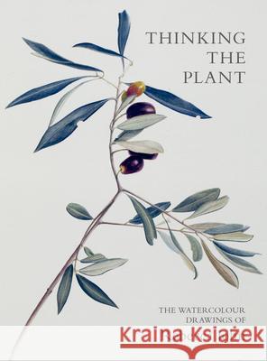 Thinking the Plant: The Watercolour Drawings of Rebecca John John, Rebecca 9781910258316 Gemini Books Group Ltd - książka