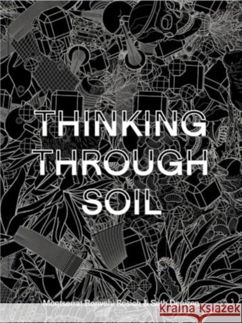 Thinking Through Soil: Wastewater Agriculture in the Mezquital Valley Seth Denizen 9780674298958 Harvard University Press - książka