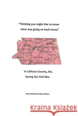 Thinking You Might Like to Know What Was Going on Back Home Mac Gillam 9781977205773 Outskirts Press - książka