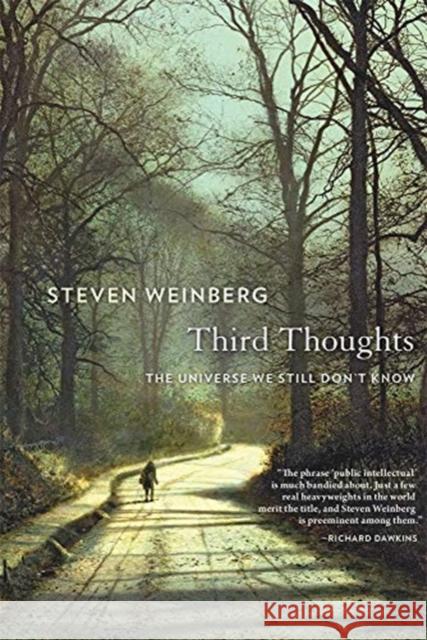 Third Thoughts: The Universe We Still Don’t Know Steven Weinberg 9780674241473 Harvard University Press - książka