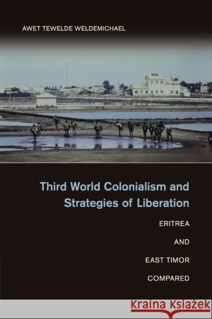 Third World Colonialism and Strategies of Liberation: Eritrea and East Timor Compared Weldemichael, Awet Tewelde 9781107576520 CAMBRIDGE UNIVERSITY PRESS - książka