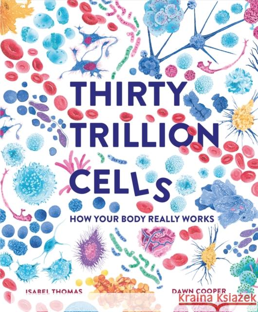 Thirty Trillion Cells: How Your Body Really Works Thomas, Isabel 9781803380131 Hachette Children's Group - książka