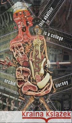 this abattoir is a college Orchid Tierney 9781940853390 Calamari Press - książka