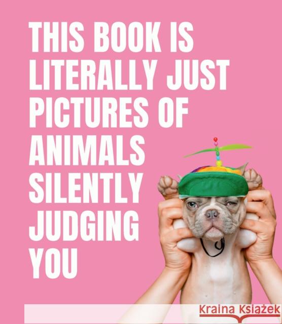 This Book is Literally Just Pictures of Animals Silently Judging You Smith Street Books 9781922417046 Smith Street Books - książka