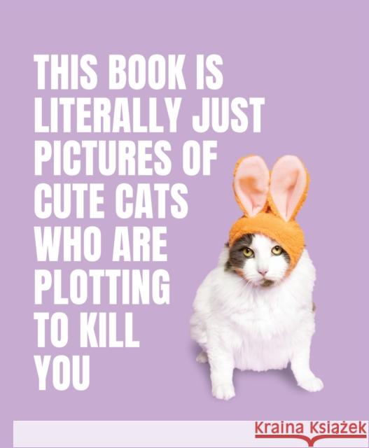 This Book is Literally Just Pictures of Cute Cats Who Are Plotting to Kill You  9781923049321 Smith Street Books - książka