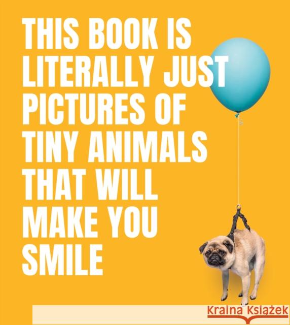 This Book Is Literally Just Pictures of Tiny Animals That Will Make You Smile Smith Street Books 9781922754578 Smith Street Books - książka