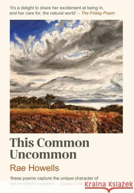 This Common Uncommon Rae Howells 9781914595905 Parthian Books - książka