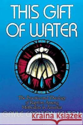 This Gift of Water Felton, Gayle Carlton 9780687333271 Abingdon Press - książka