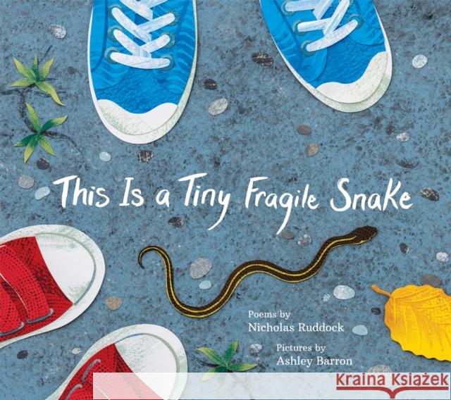 This Is a Tiny Fragile Snake Nicholas Ruddock 9781773067841 Groundwood Books Ltd ,Canada - książka