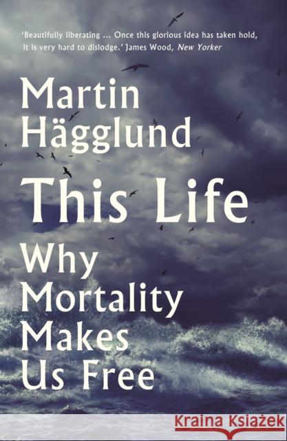 This Life: Why Mortality Makes Us Free Hägglund, Martin 9781788163019 Profile Books Ltd - książka