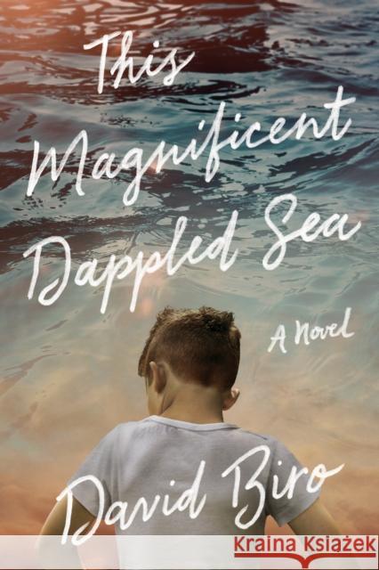 This Magnificent Dappled Sea: A Novel David Biro 9781542019811 Lake Union Publishing - książka