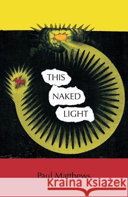 This Naked Light Paul Matthews 9781789014754 Troubador Publishing - książka