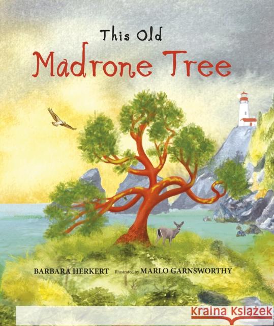 This Old Madrone Tree Barbara Herkert Marlo Garnsworthy 9781970039047 Web of Life Children's Books - książka