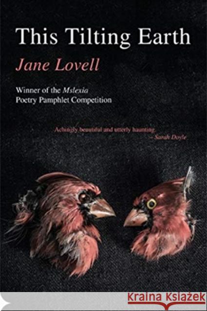 This Tilting Earth Jane Lovell 9781781725252 Poetry Wales Press - książka