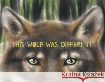 This Wolf Was Different Katie Slivensky Hannah Salyer 9781665900959 Beach Lane Books - książka