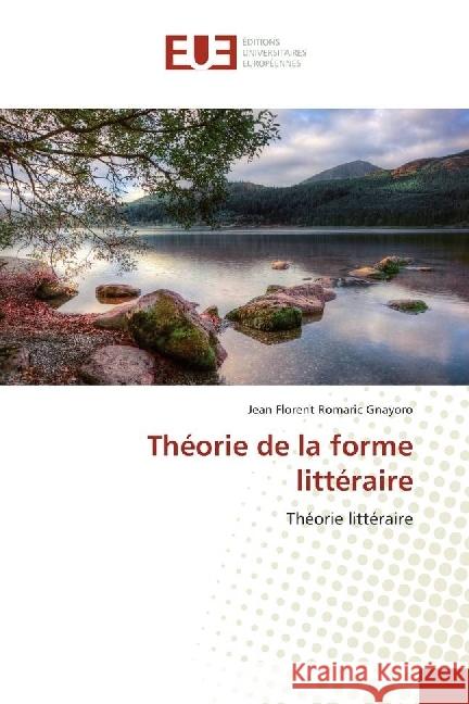 Théorie de la forme littéraire : Théorie littéraire Gnayoro, Jean Florent Romaric 9783841617415 Éditions universitaires européennes - książka