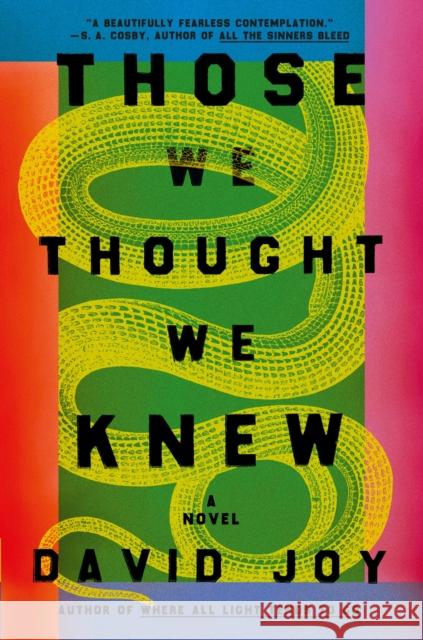 Those We Thought We Knew: The new literary crime thriller from the prizewinning master of American noir fiction David Joy 9780233006512 Headline Publishing Group - książka