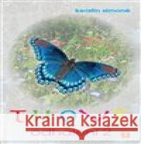 THOVT - odhalení 2 Kerstin Simoné 9783945803288 ANCH BOOKS - książka