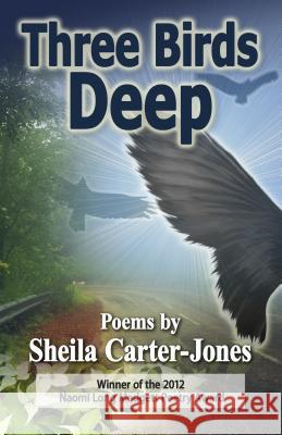 Three Birds Deep Sheila Carter-Jones 9780979750953 Wayne State University Press - książka