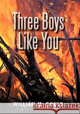 Three Boys Like You William M. Gould 9781450284202 iUniverse.com - książka