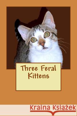 Three Feral Kittens Karen Thompson 9781492730804 Createspace Independent Publishing Platform - książka