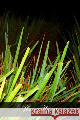 Three Hours Most Reverend Richa Cushin 9781467965859 Createspace - książka