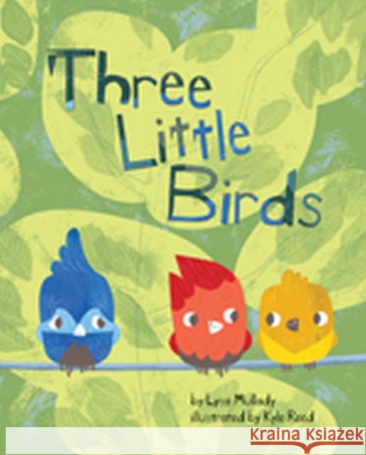 Three Little Birds Lysa Mullady Kyle Reed 9781433829475 Magination Press - książka