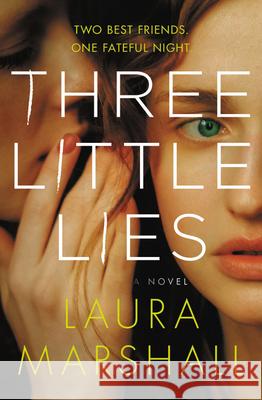 Three Little Lies Laura Marshall 9781478948551 Grand Central Publishing - książka