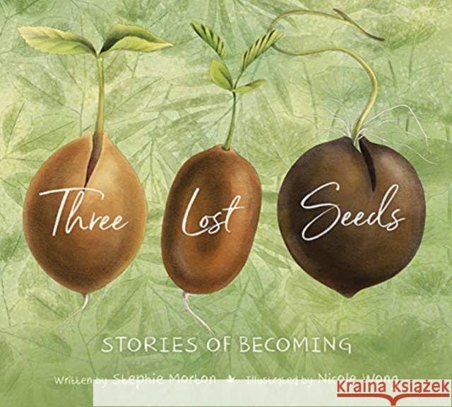 Three Lost Seeds: Stories of Becoming Morton, Stephie 9780884487647 Tilbury House Publishers - książka