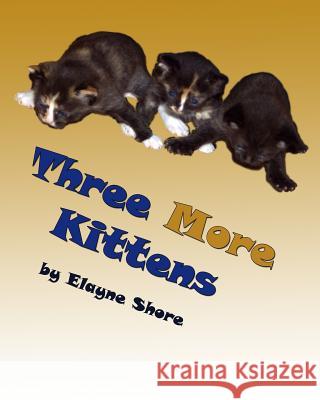 Three More Kittens Elayne Shore 9781489509628 Createspace - książka