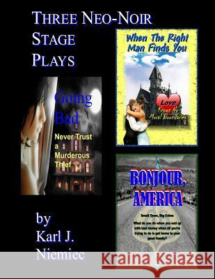 Three Neo-Noir Stage Plays: Based on the Screenplays Karl J. Niemiec 9780983366393 Laptoppublishing.com - książka