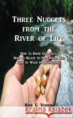 Three Nuggets from the River of Life Kim F Voisin 9781950398256 McDougal & Associates - książka