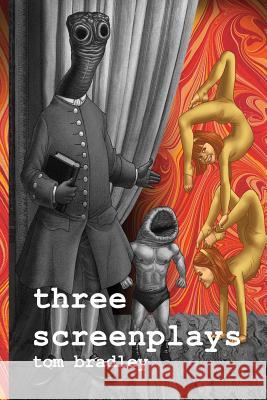 Three Screenplays Tom Bradley 9781907133718 Dog Horn Publishing - książka