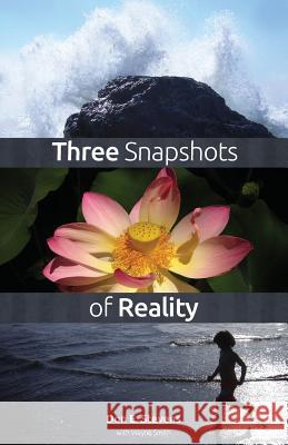 Three Snapshots of Reality Don E Stevens Laurent Weichberger Wayne Smith (University of Auckland, New 9780956553003 Companion Books - książka