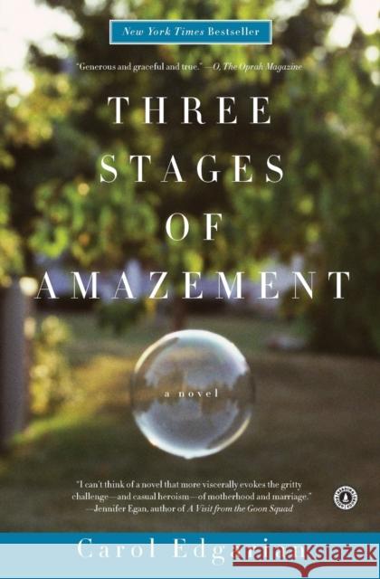 Three Stages of Amazement Carol Edgarian 9781439198315 Scribner Book Company - książka