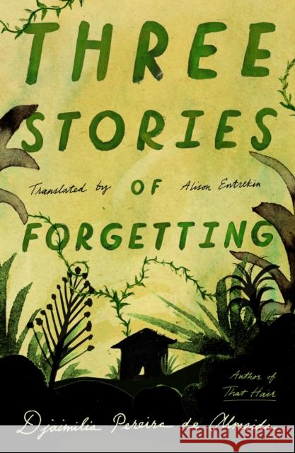 Three Stories of Forgetting Djaimilia Pereira de Almeida 9780374612092 Fsg Originals - książka