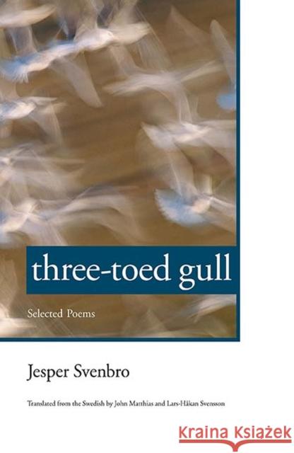 Three-Toed Gull: Selected Poems Svenbro, Jesper 9780810118959 Northwestern University Press - książka