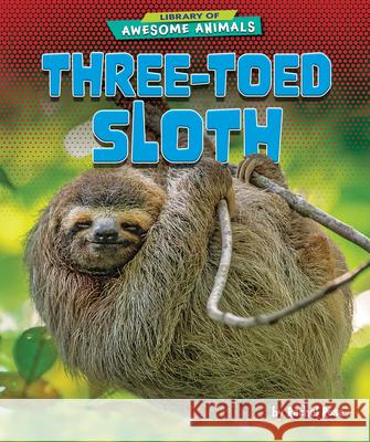 Three-Toed Sloth Rachel Rose 9781647471484 Bearport Publishing - książka