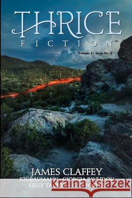 Thrice Fiction: Vol. 2 No. 2 Katelin Kinney, David Simmer, II, Rw Spryszak 9781945334092 Thrice Publishing - książka