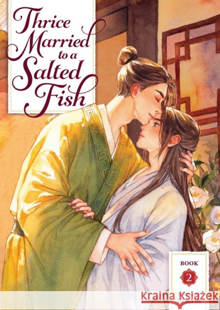 Thrice Married to a Salted Fish (Novel) Vol. 2 Bi Ka Bi 9798895610961  - książka