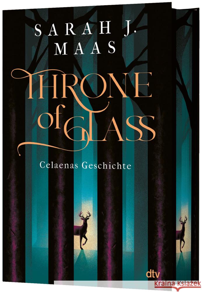Throne of Glass - Celaenas Geschichte Maas, Sarah J. 9783423765299 DTV - książka