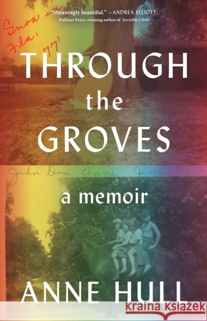 Through the Groves: A Memoir Anne Hull 9780805093377 Henry Holt & Company - książka